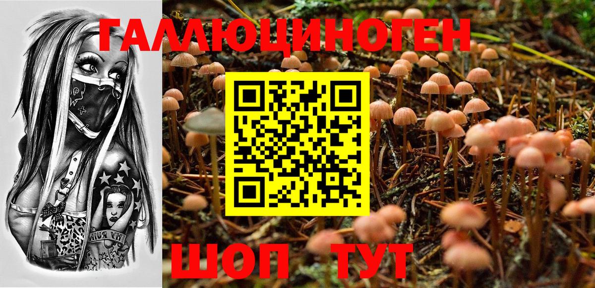 Псилоцибиновые грибы Cubensis  Вход с VPN  Крымск  Галлюциногенные грибы Cubensis 